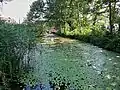 Mühleweiher