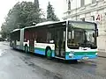 MAN Gelenksbus (MAN A23 Lion´s City G) auf der Linie 1