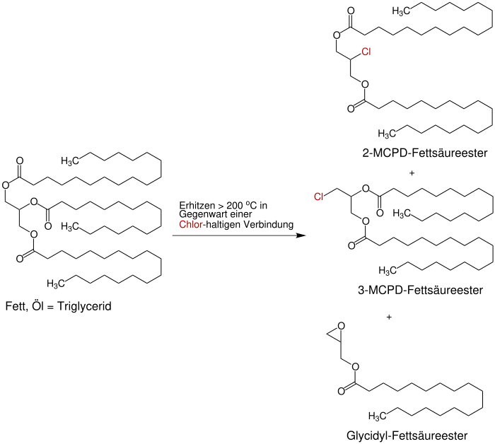 Schematische Darstellung der Bildung eines 2-MPCD-Fettsäureesters, eines 3-MCPD-Fettsäureesters und eines Gycidyl-Fettsäureesters aus einem Fett oder Öl.