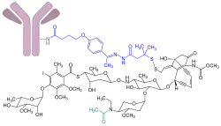 Gemtuzumab-Ozogamicin