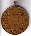 Medaille 1902 Dohna, Vorderseite mit Burgturm