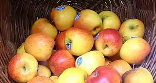 Braeburn