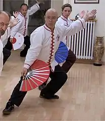 Fächerform 9)