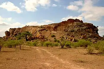 Kulturlandschaft Mapungubwe. Ausgrabungsgebiet des ersten Königreichs im südlichen Afrika zwischen 900 und 1300 n. Chr.