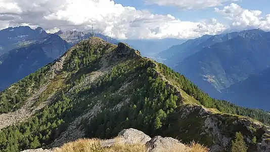 Der Matro, aufgenommen vom Cogn.
