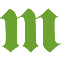 Logo der Michelsenschule Hildesheim