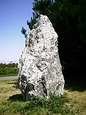 Pierre Sainte Anne