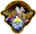Logo von Mir NASA-7