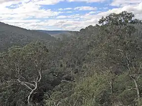 Blick nach Norden von The Bluff Lookout aus auf das Tal des Mitchell River