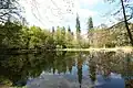 Mittlerer Kreuzberglteich