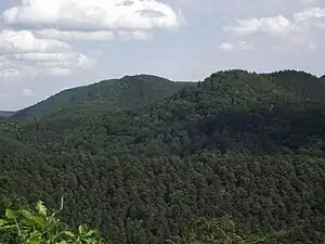 Mohnenberg (östlicher Wasgau): Blick von Burg Schöneck