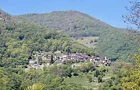 Monte TI