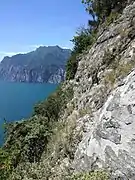 Lebensraum Kalkfelsen
