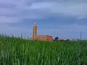 Moschee und Frühjahrsfelder bei Oulad Frej