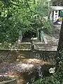 Mündung des Dorenbachs in den Birsig oberhalb des Dorenbachviadukts