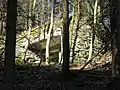 Zingel, Flankierbunker