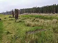 Die Steinreihe