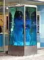 Löwe im Wasserbehälter