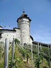 Munot mit Rebberg