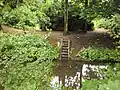 An der Schwale im Park (2012)