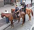 NYPD-Beamte zu Pferd(Foto 2007)
