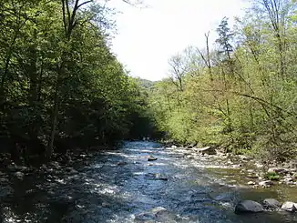 Chittenango Creek nach den Fällen im Mai.