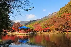 Pavillon des Baekyangsa Temple 백양사
