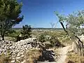 Oppidum Roque de Viou