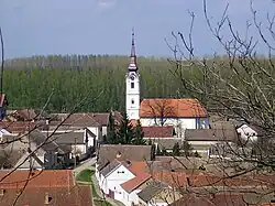 Нештин