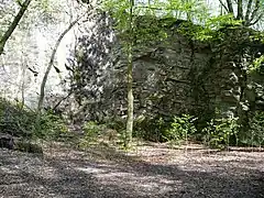 Giuseppe Penone: Neanderthal Hecke