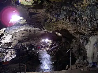 Nebelhöhle im Jahr 2006