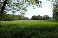 Wiese südlich der Kreisstraße (2021)