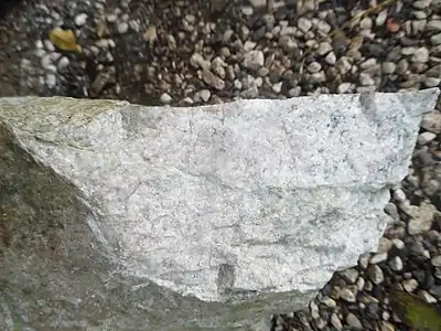 Zerschertes leukokratisches Ganggestein, die Scherflächen werden von hell olivgrünem Epidot besetzt, welcher den S-C-Charakter unterstreicht (links oben)