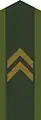 Schweden&nbsp;Schweden Korpral, OR-4, Heer