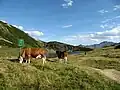 Almidylle am Oberhüttensee