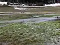 Im Hungerbrunnen sprudelt das Wasser an verschiedenen Stellen direkt aus der Wiese