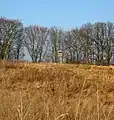 Feld in Ortsnähe