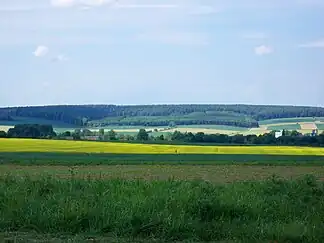 Der Oderwald mit Bereich des Hungerbergs von Osten mit Hedwigsburger Okermühle (rechts) bei Ohrum