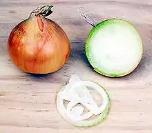 Die Zwiebel besteht aus Blättern