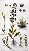 Fig. I-V