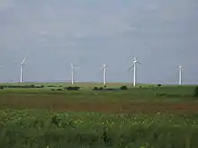 An area of flat green fields with five starkly white wind turbines standing out from the background of a blue sky.