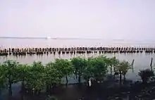 Mündung des Chao Phraya in Samut Prakan