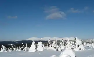 Ansicht des Pallastunturi-Massivs vom Gipfel des Sammaltunturi. Zu erkennen sind (von links nach rechts) die Gipfel des Laukukero, Taivaskero, Pyhäkero, Palkaskero und des Pallaskero zu erkennen.