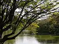 Der See