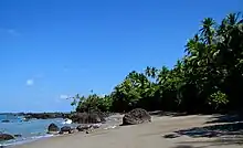 Biologisches Schutzgebiet Nationalpark Corcovado und Isla del Caño