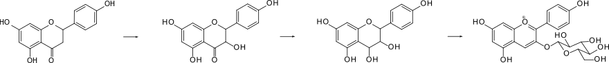 Biosynthese von Pelargonidin-3- glucosid