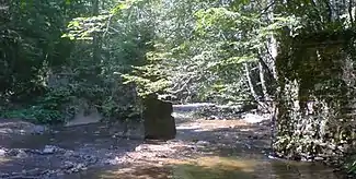 Brückenpfeiler der Waldbahn als stumme Zeugen des Bahnbetriebes