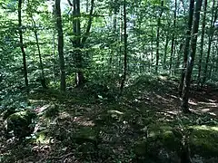 Ehemaliger Palas (Juli&nbsp;2015)