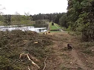 Damm und Wasserfläche des Pixhaier Teiches