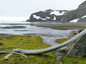 Blick über die Argentinien-Bucht auf das Polish Bluff